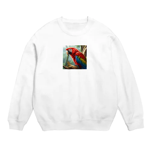 コンゴウインコ Crew Neck Sweatshirt