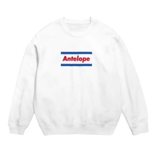 ブルーロゴ Crew Neck Sweatshirt