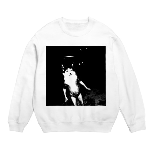 CATT Crew Neck Sweatshirt