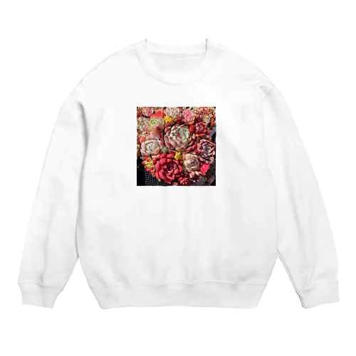 華やかなエケベリア Crew Neck Sweatshirt