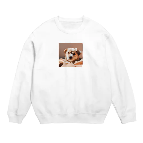 太郎くん Crew Neck Sweatshirt