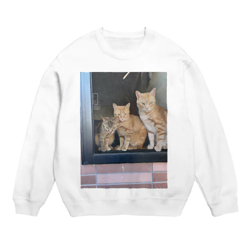 出窓で飼い主帰るを待つ猫たち Crew Neck Sweatshirt