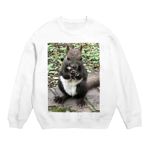 もぐもぐエゾリス Crew Neck Sweatshirt