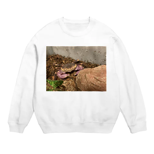 カクレイワガニ Crew Neck Sweatshirt