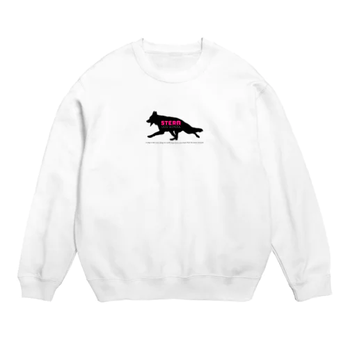 STERN Crew Neck Sweatshirt