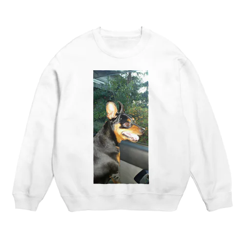 ミニチュアピンシャーオリジナルグッズ第一弾 Crew Neck Sweatshirt