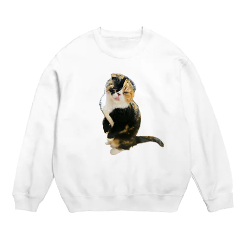 ブサカワの愛猫激写 Crew Neck Sweatshirt