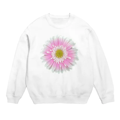 Fairy Pink Crew Neck Sweatshirt