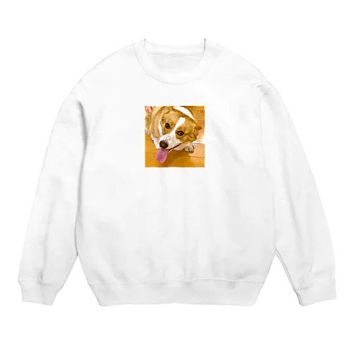 笑顔溢れるコーギー、あおくん Crew Neck Sweatshirt