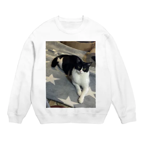 うち猫のあ⭐️ Crew Neck Sweatshirt