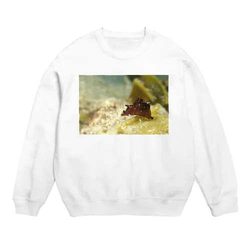 海中写真　クロヘリアメフラシ Crew Neck Sweatshirt