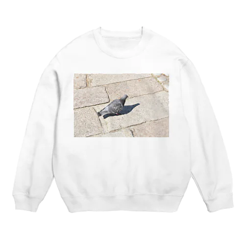 自分の影を見つめる鳩 Crew Neck Sweatshirt