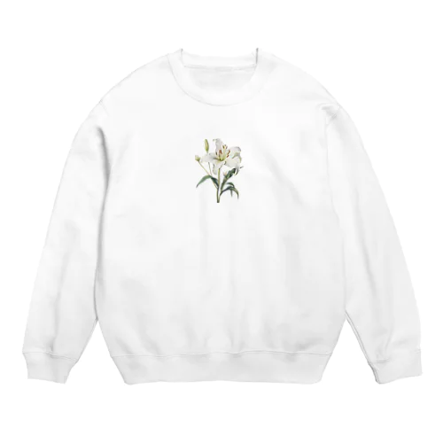 アンティークリリー Crew Neck Sweatshirt