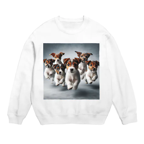 FlyingJacky Crew Neck Sweatshirt