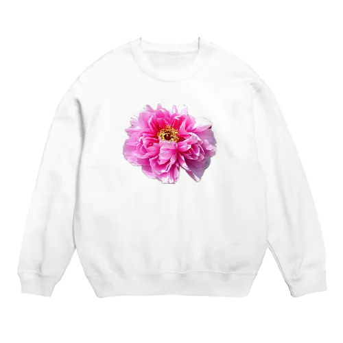 seiso Crew Neck Sweatshirt