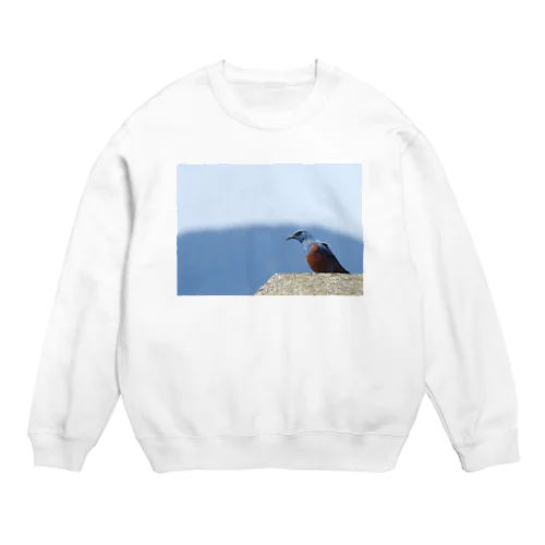 イソヒヨドリ Crew Neck Sweatshirt