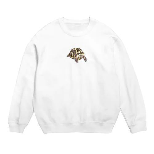 ヨツユビリクガメの日向ちゃん Crew Neck Sweatshirt