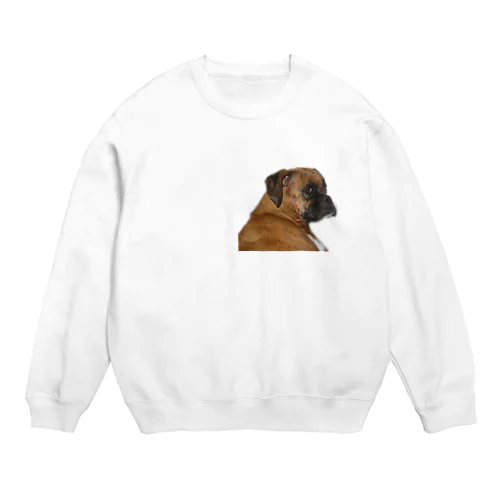 BOSS Crew Neck Sweatshirt