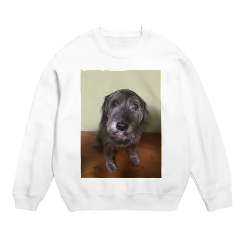 犬のらぶちゃん Crew Neck Sweatshirt