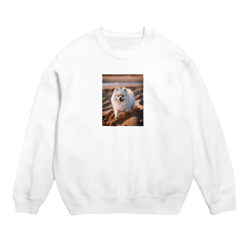 砂浜で遊ぶポメラニアン Crew Neck Sweatshirt