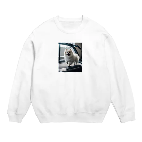 ルームランナーで走るポメラニアン Crew Neck Sweatshirt