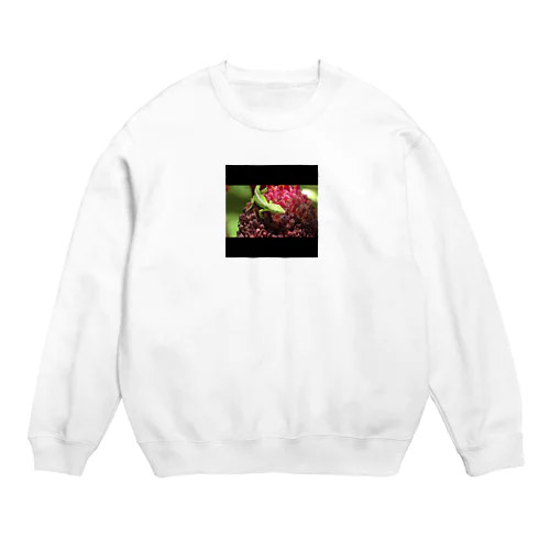 トカゲの散歩 Crew Neck Sweatshirt