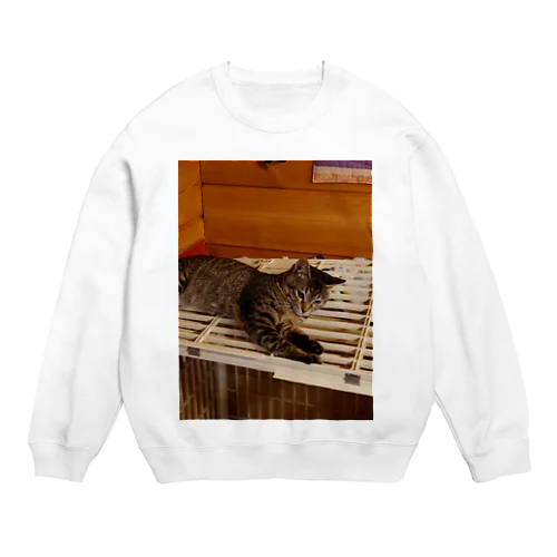 だらーんにゃんこの写真 Crew Neck Sweatshirt