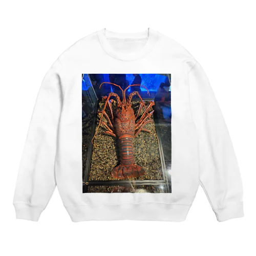 伊勢海老 Crew Neck Sweatshirt