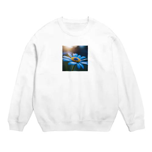 ブルーデージー Crew Neck Sweatshirt