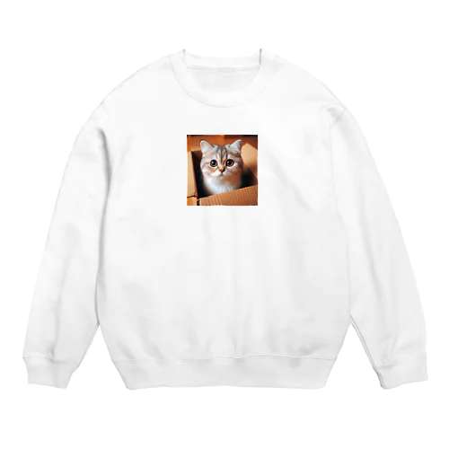 段ボール猫2 Crew Neck Sweatshirt