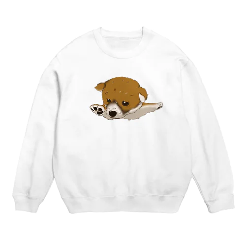 飛行機ポーズ　柴　カラー改良版 Crew Neck Sweatshirt