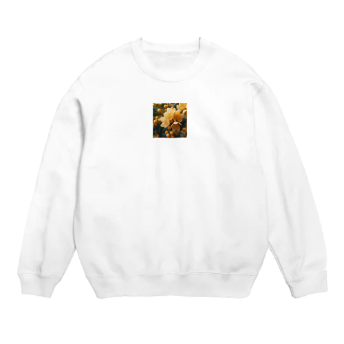 osmanthus Crew Neck Sweatshirt