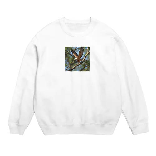 枝から枝へ移動するタカ Crew Neck Sweatshirt