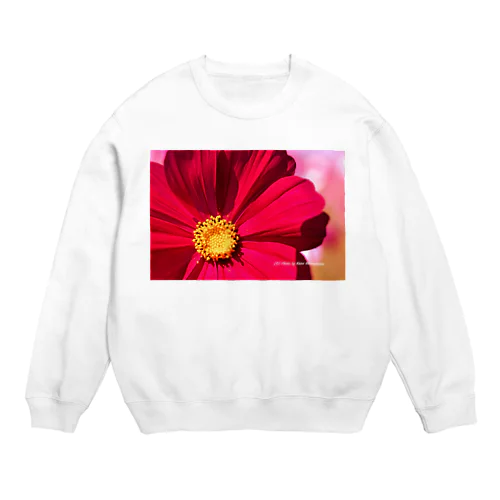 コスモスフォトグラファー Crew Neck Sweatshirt