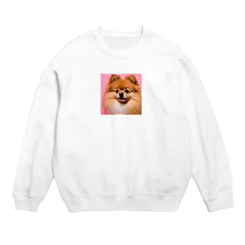 SINBA Crew Neck Sweatshirt