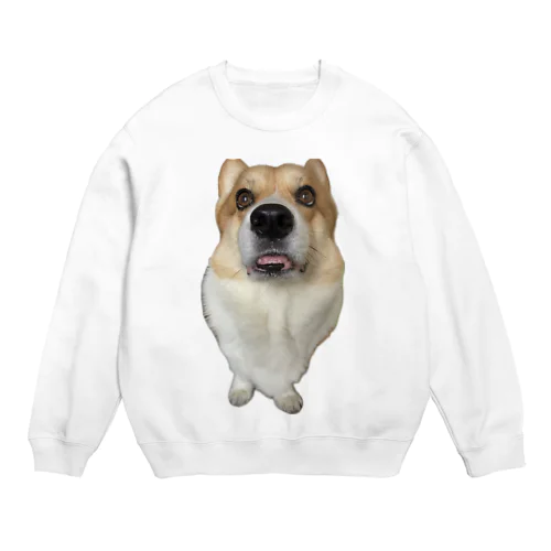 (corgi)らて君のダルダル(コーギー) Crew Neck Sweatshirt