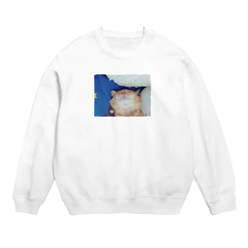 coco Crew Neck Sweatshirt