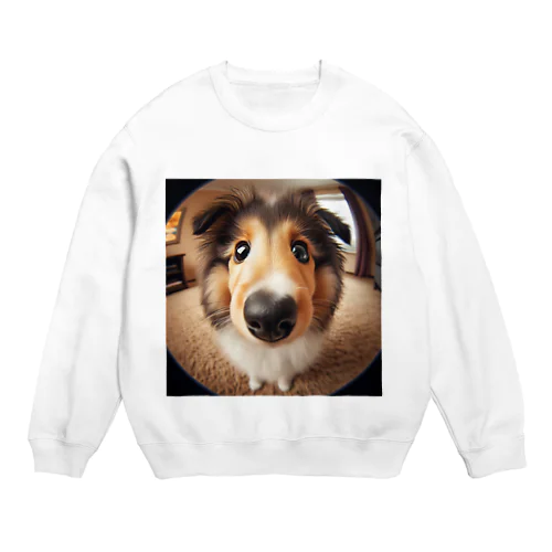 collie Crew Neck Sweatshirt