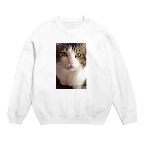 猫 Crew Neck Sweatshirt