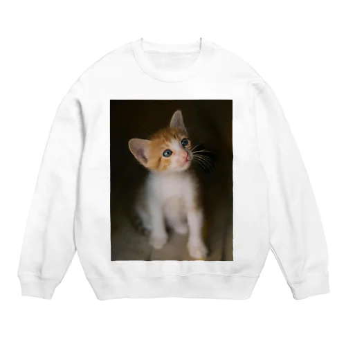 考える　猫ちゃんー Crew Neck Sweatshirt