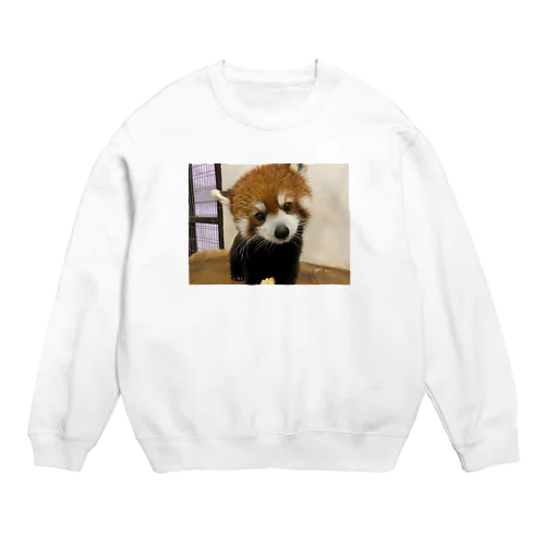 レッサーパンダ Crew Neck Sweatshirt