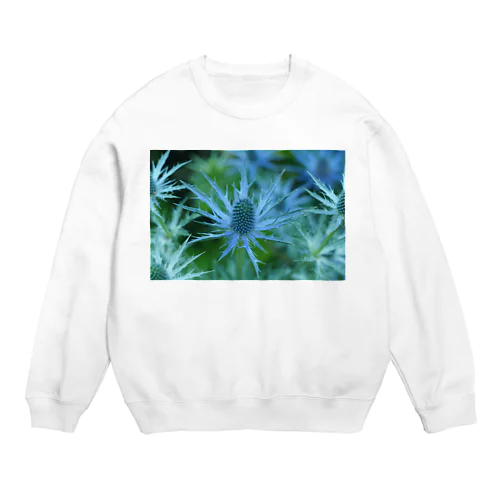 エリンジューム Crew Neck Sweatshirt