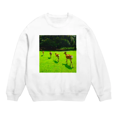 奈良公園の鹿が変える姿 Crew Neck Sweatshirt