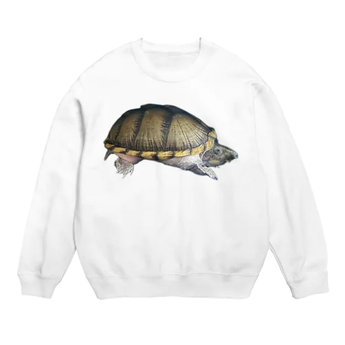 カブトニオイガメ Crew Neck Sweatshirt