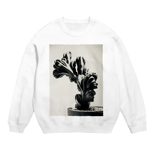 竜神木綴化 Crew Neck Sweatshirt