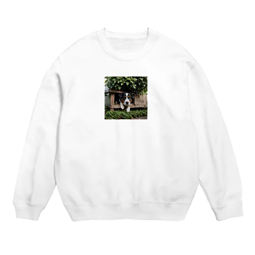 箱の中から覗く犬 dog looking in the box Crew Neck Sweatshirt