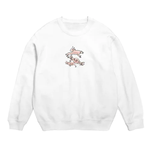 連なるアフリカツメガエル(アルビノ) Crew Neck Sweatshirt