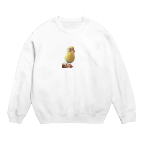 フォトブック完成記念♪ セキセイインコ 夏樹くん Crew Neck Sweatshirt