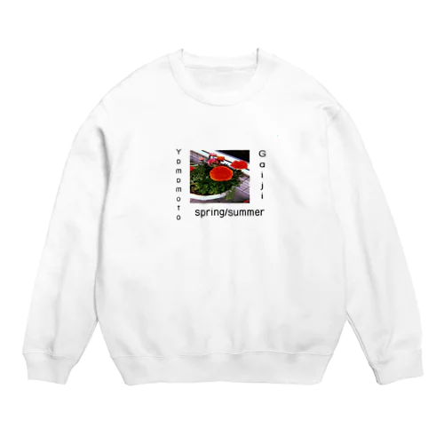 Gaiji  Yamamoto19ss Crew Neck Sweatshirt