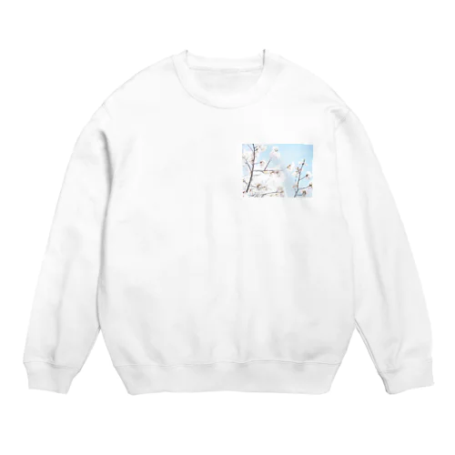 春 Crew Neck Sweatshirt